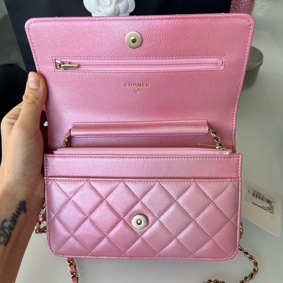 NEW UNBOXED RARE Cloudy pearly goatskin gold hardware iridescent pink - Picture 10 of 14